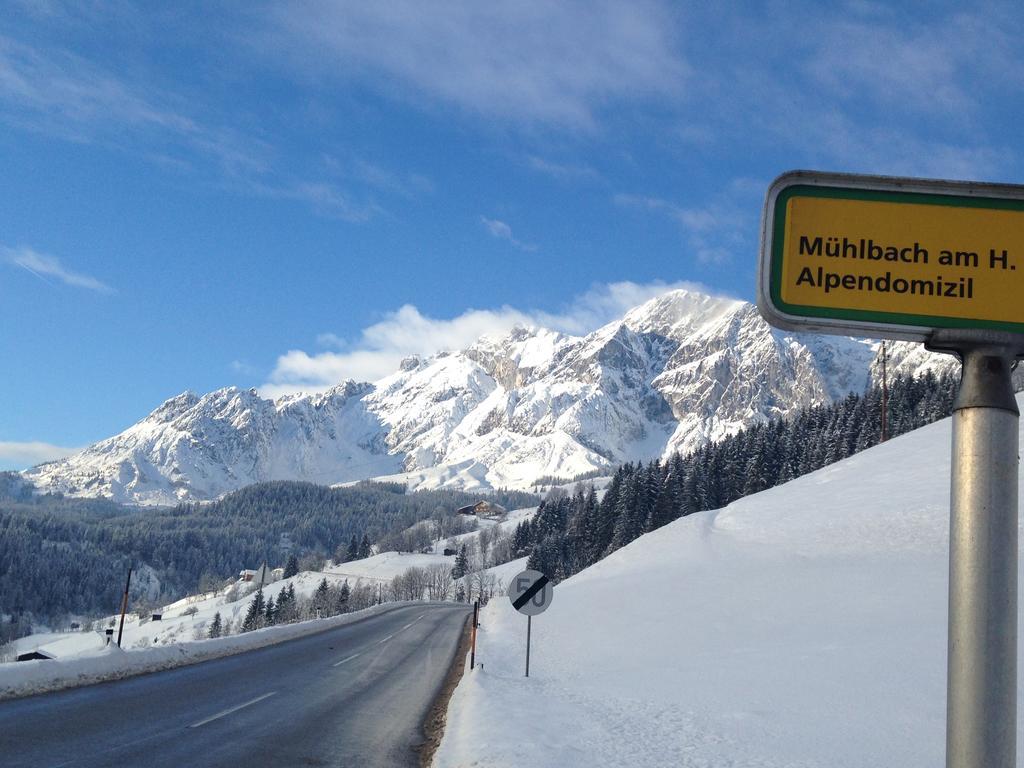 Alpendomizil Pia Appartement Mühlbach am Hochkönig