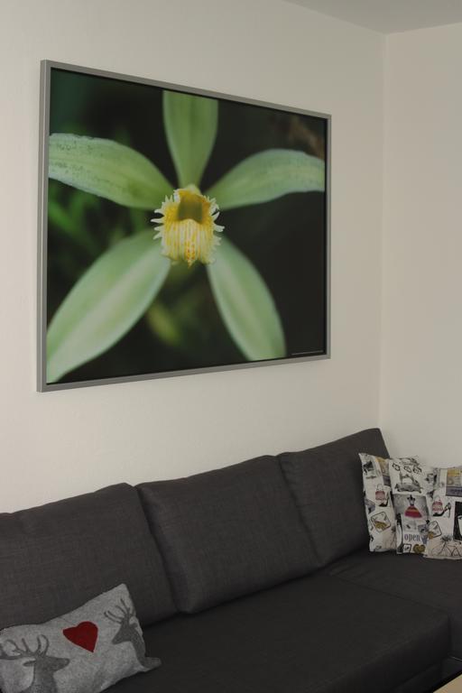 Alpendomizil Pia Appartement Mühlbach am Hochkönig
